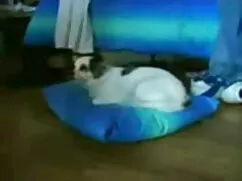 او مشت, ماساژ, سکس ب ...
